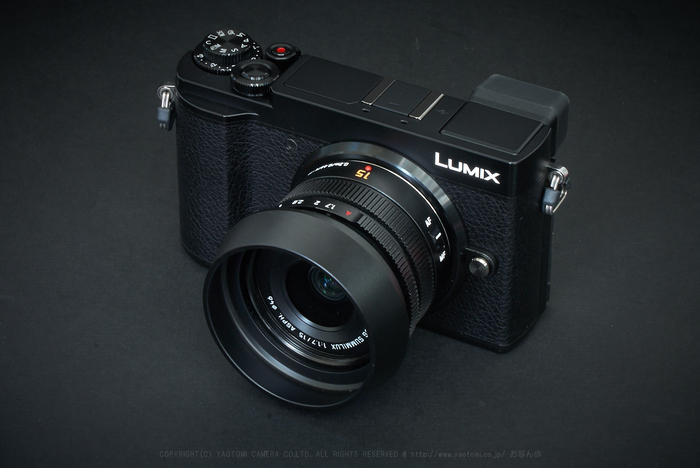 LUMIX G VARIO 14-140mm / F3.5-5.6Ⅱ solucionescad.com.mx
